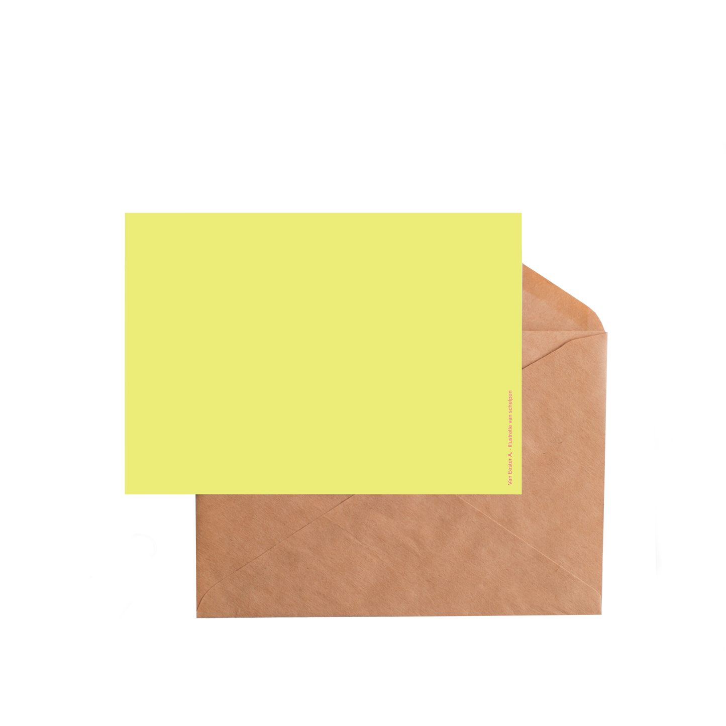 wenskaart 'Schelpen'