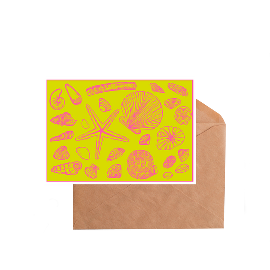 wenskaart 'Schelpen'